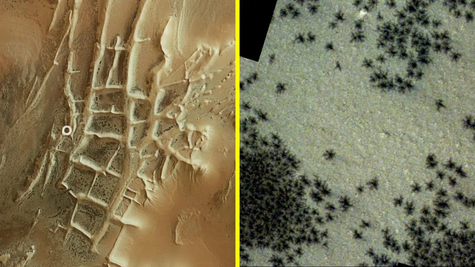 https://www.livescience.com/space/mars/hundreds-of-black-spiders-spotted-in-mysterious-inca-city-on-mars-in-new-satellite-photos